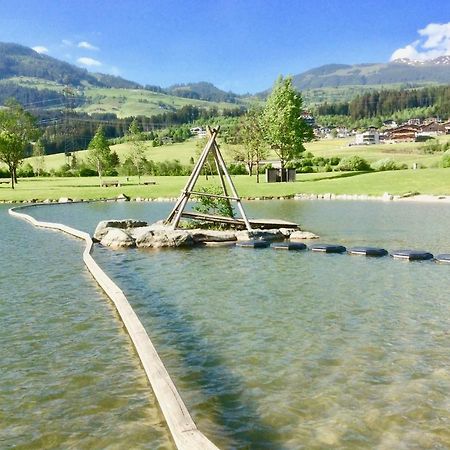 Kitzbuheler Alpen Residenz Top2 Hollersbach Холлерсбах  Экстерьер фото
